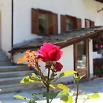 Pavou